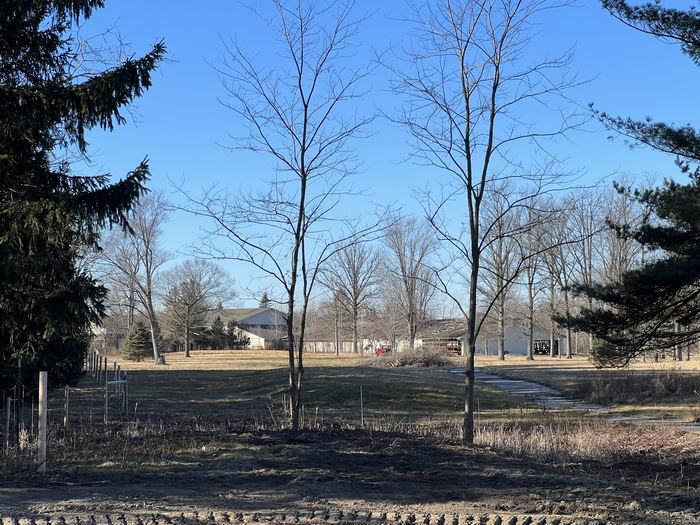 Romeo Golf & Country Club - Probably Clubhouse Jan 14 2023 (newer photo)